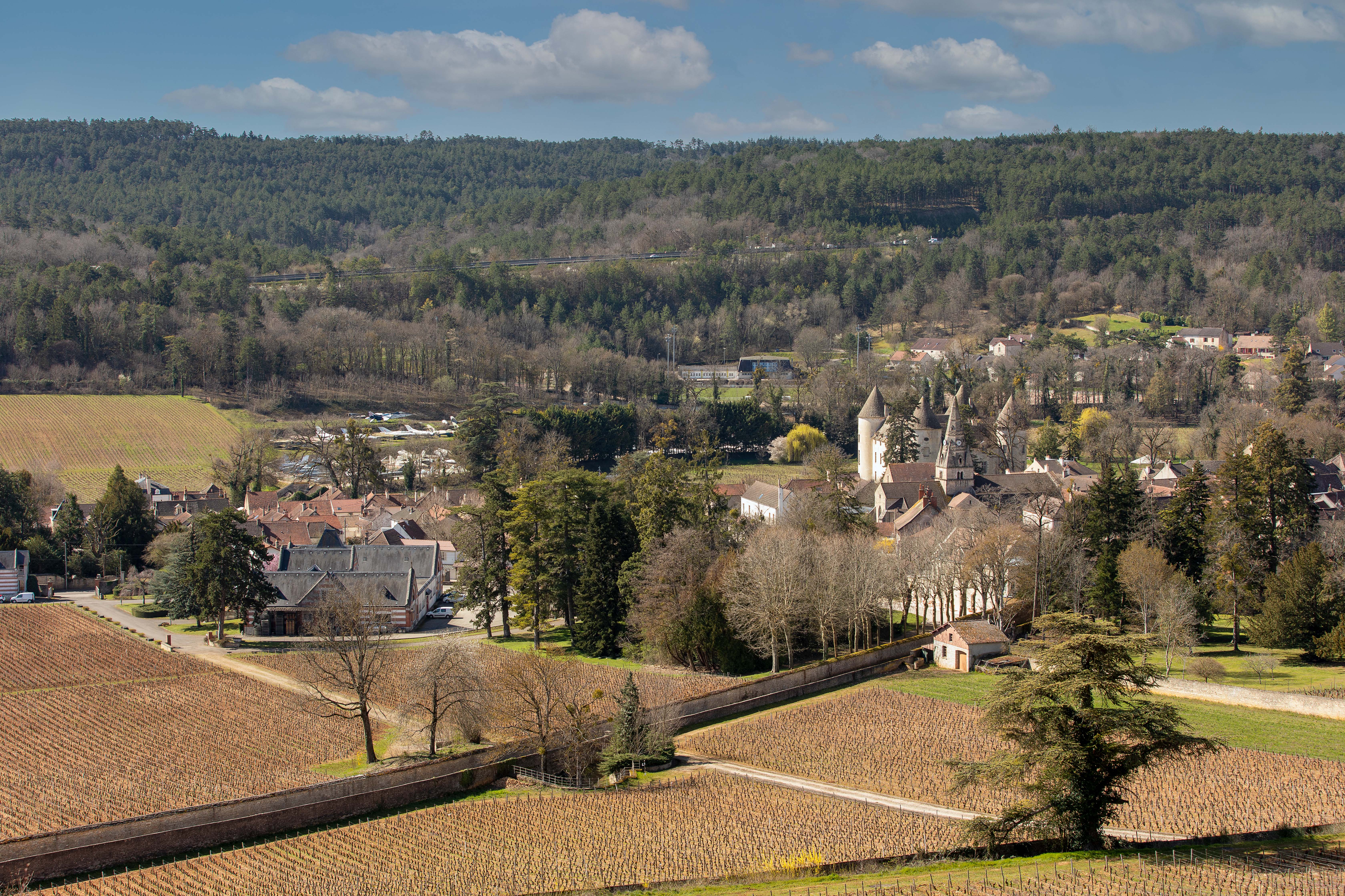 Banniere Mairie de Savigny lès Beaune